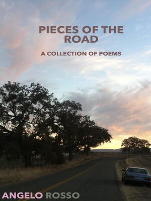 cover image of Pieces of the Road